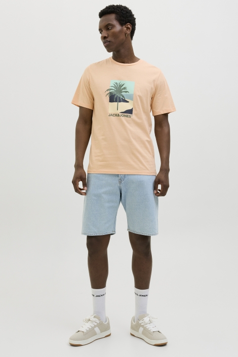 Jack & Jones jjbarbados tee ss crew neck